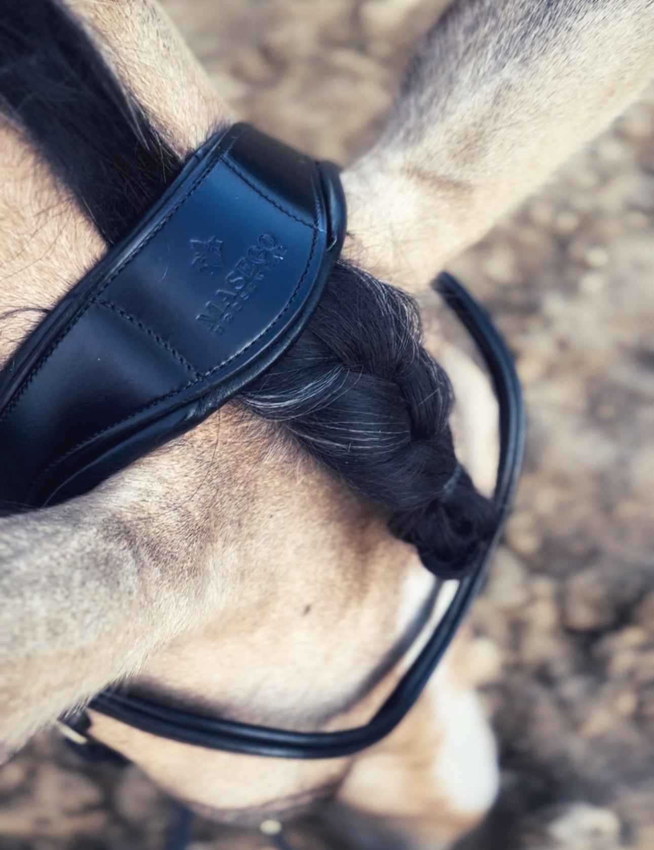Masego Italian Leather 'Coco' Bridle (Without Noseband) - MASEGO horsewear - Equiluxe Tack