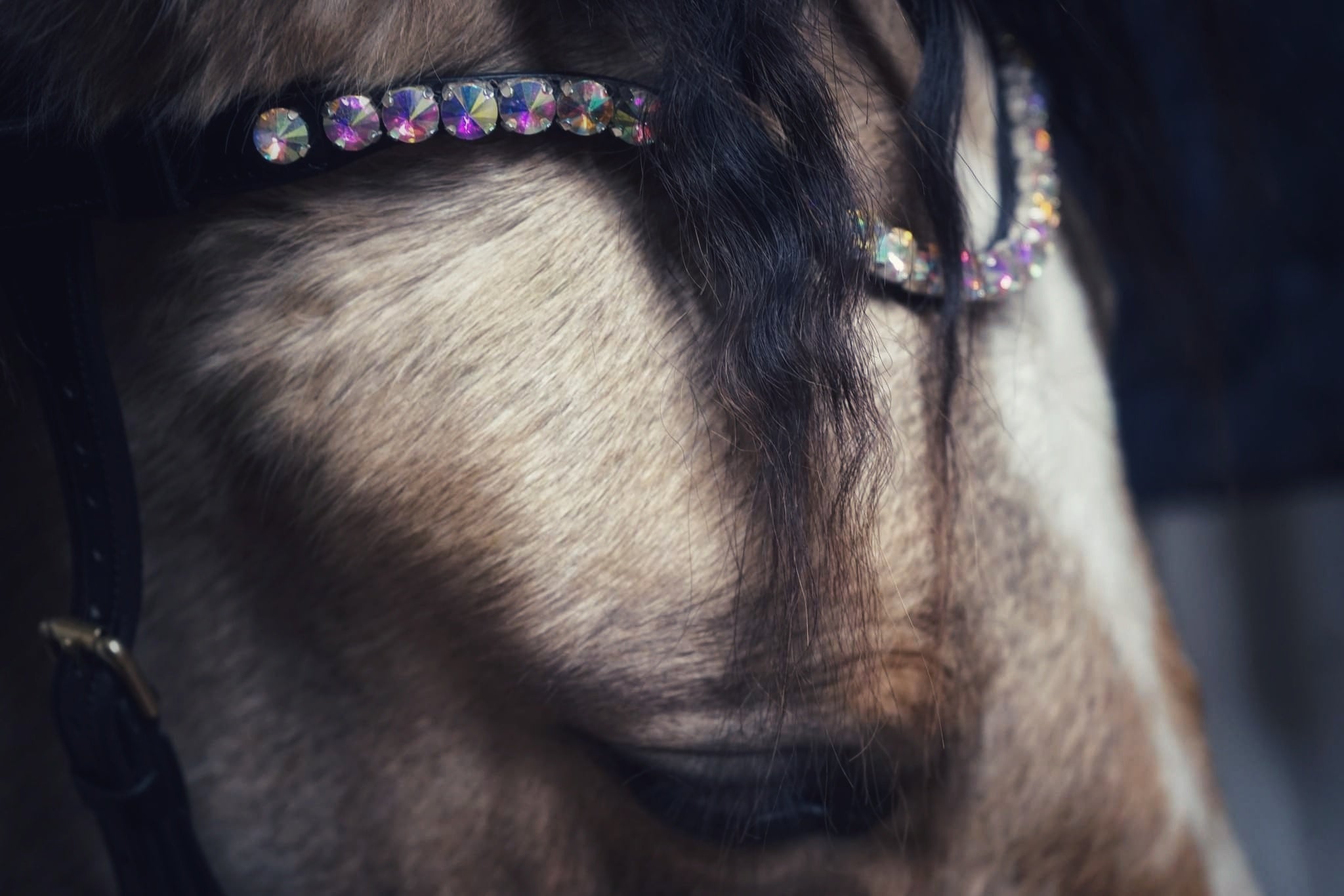 Masego 'Utopia Pyramids' Italian Leather Browband - MASEGO horsewear - Equiluxe Tack