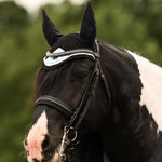 Mint and Gold Browband - Equiluxe Tack