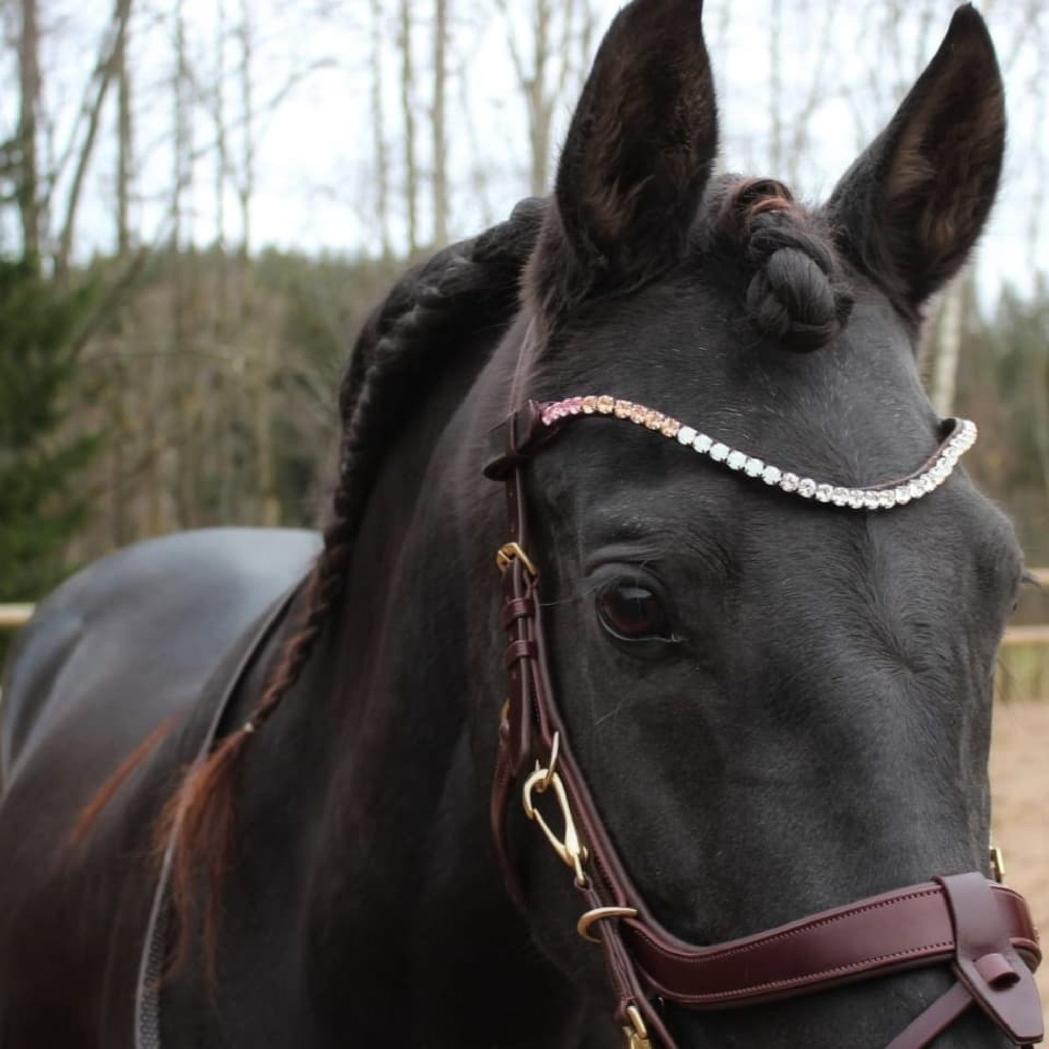 Masego Moondiamond Swarovski Browband - MASEGO Horsewear - Equiluxe Tack