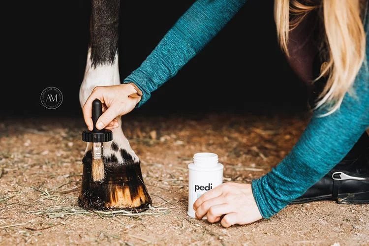The Infused Equestrian 'pedi' Hoof Conditioner - Two Sizes - The Infused Equestrian - Equiluxe Tack