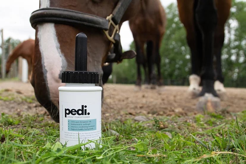 pedi. A Hoof Conditioner - Two Sizes - Equiluxe Tack