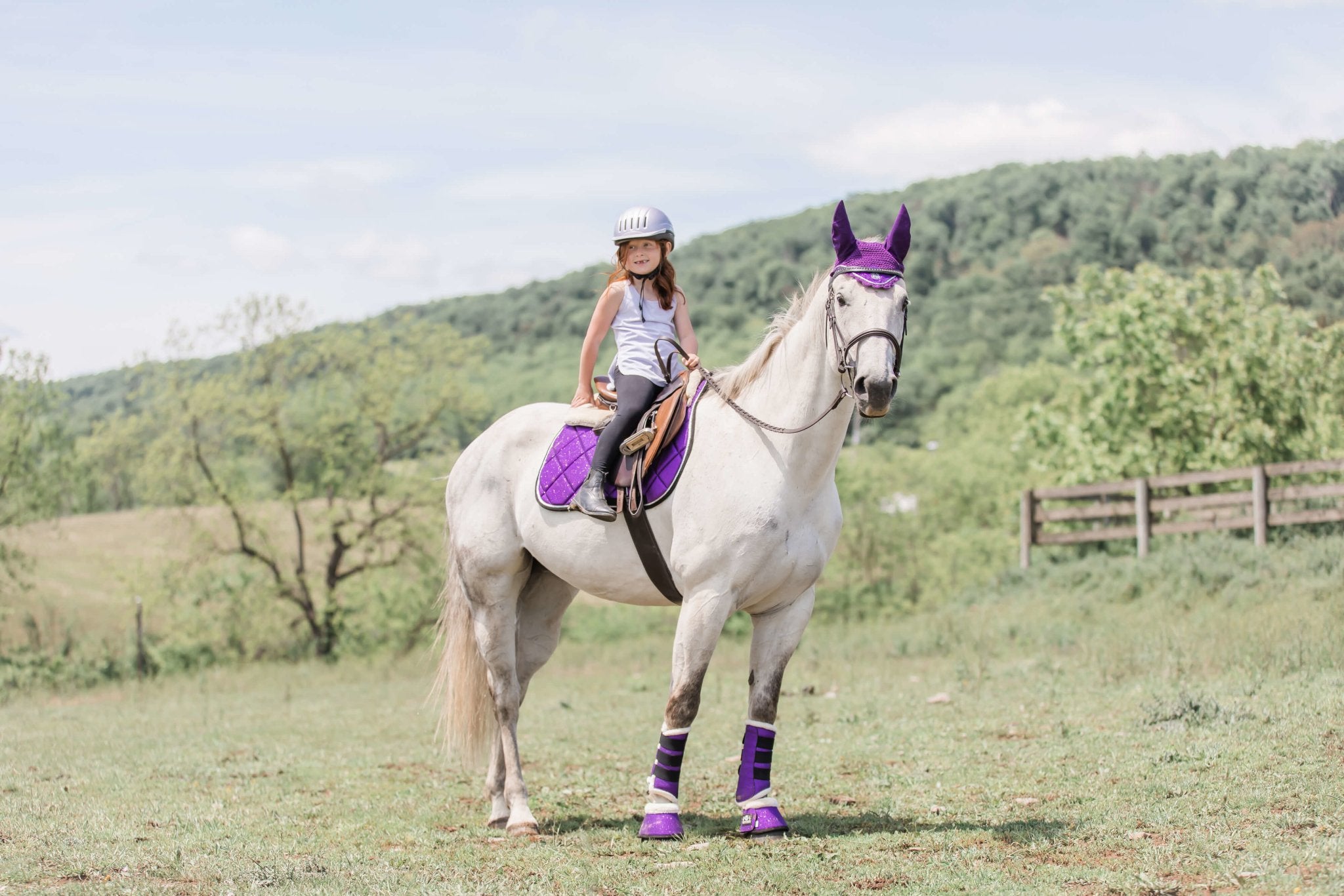 Purple Amethyst Brushing Boots - Equiluxe Tack