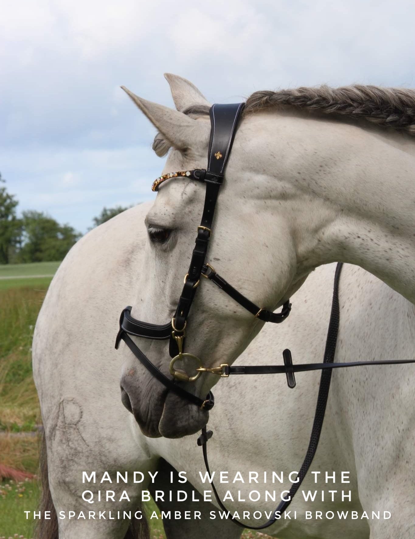 Masego Horsewear 'Qira' Italian Leather Multi - Bridle - MASEGO horsewear - Equiluxe Tack