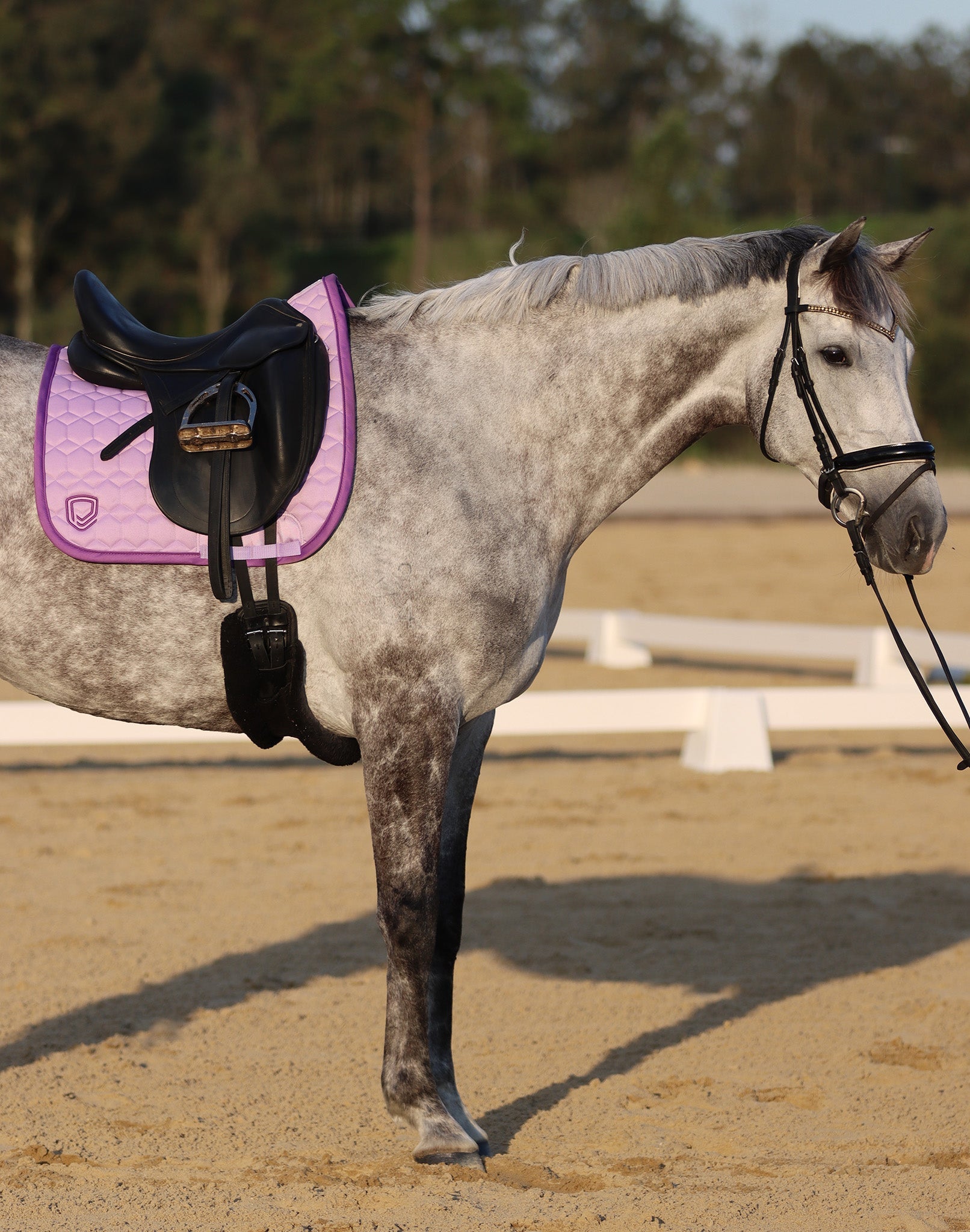 Recycled Dressage Saddle Pad - Lilac - Equiluxe Tack