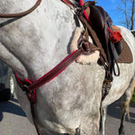 Red Padding 5-Point Breastplate - Equiluxe Tack