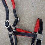 Red Padding Leather Halter - Equiluxe Tack