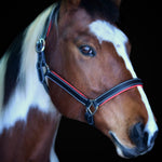 Red Padding Leather Halter - Equiluxe Tack