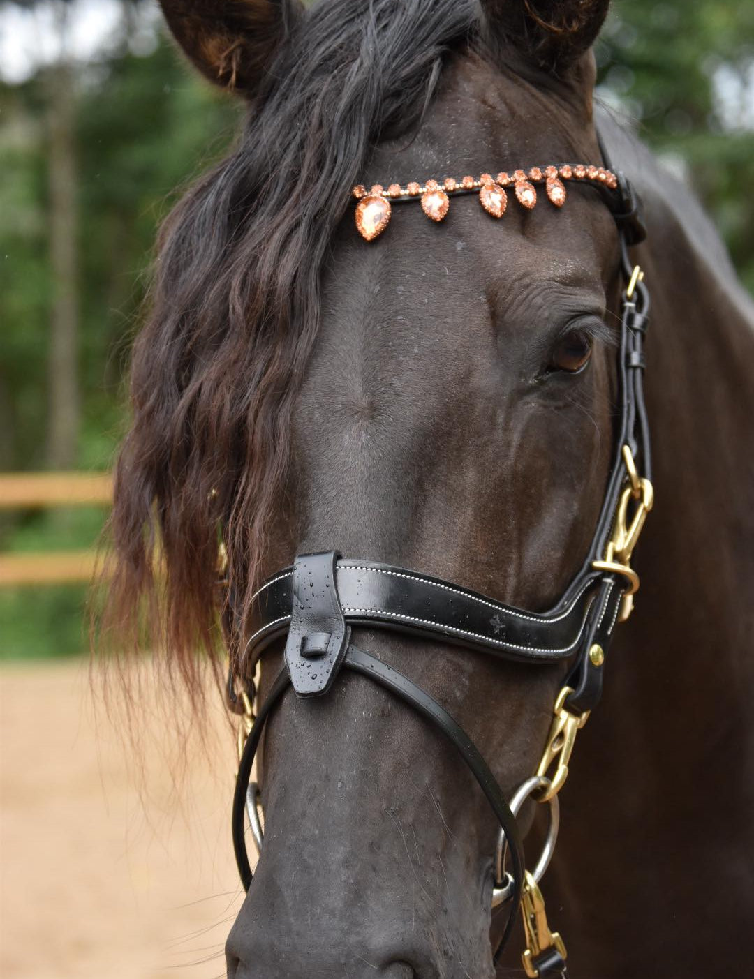 Masego Rose Gold Raindrop Browband - MASEGO horsewear - Equiluxe Tack