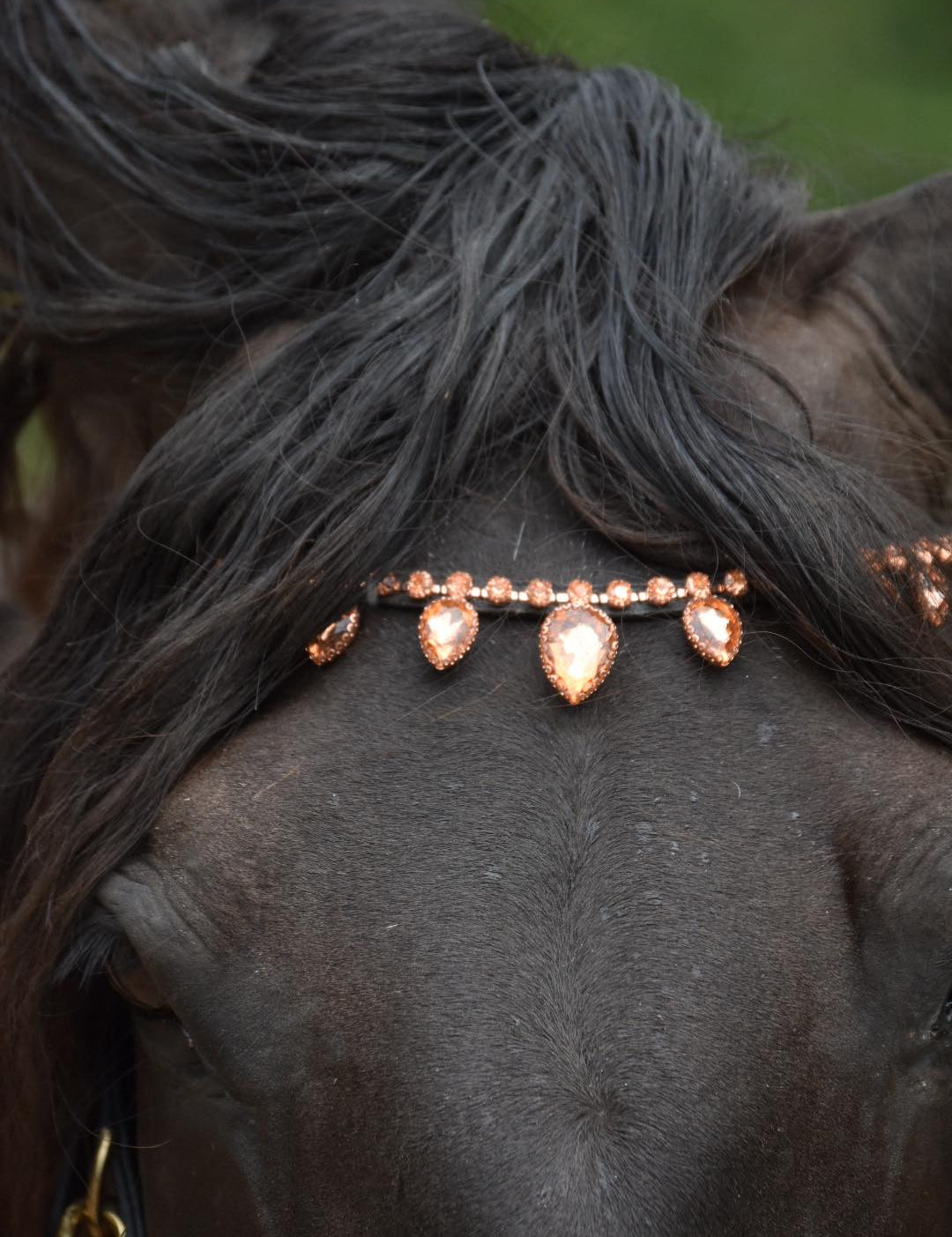 Masego Rose Gold Raindrop Browband - MASEGO horsewear - Equiluxe Tack