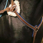 Royal Blue Padding 5-Point Breastplate - Equiluxe Tack