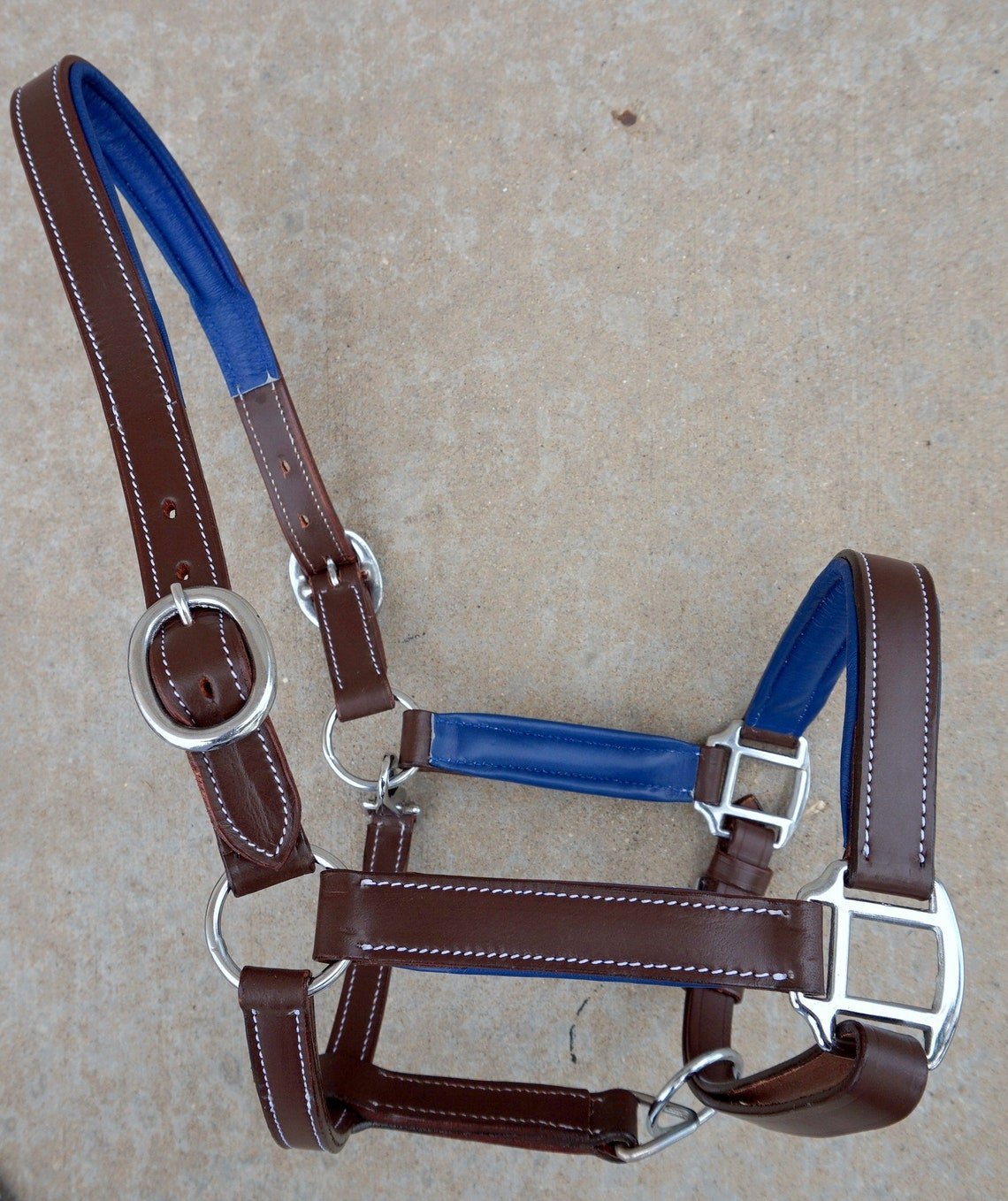Royal Blue Padding Leather Halter - Equiluxe Tack