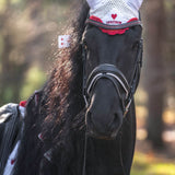 Ruby Red Crystal Browband - Equiluxe Tack