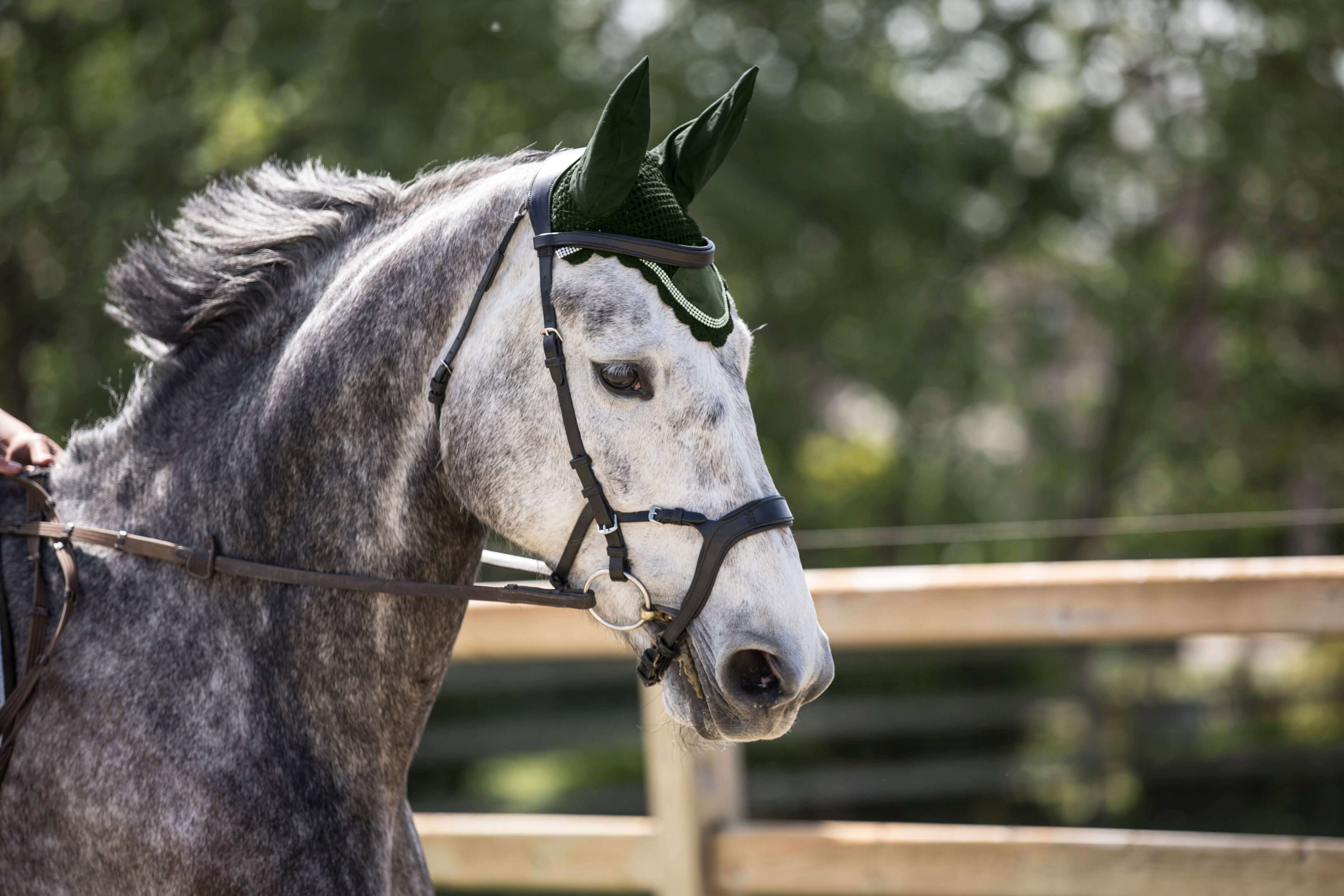 Sage Green Fly Hat - Equiluxe Tack