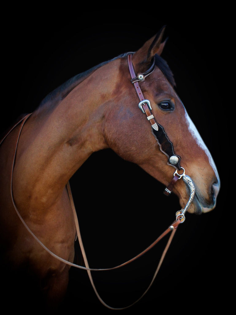 'Shira' Cow Hair Western Headstall Double Ear Bridle - Equiluxe Tack