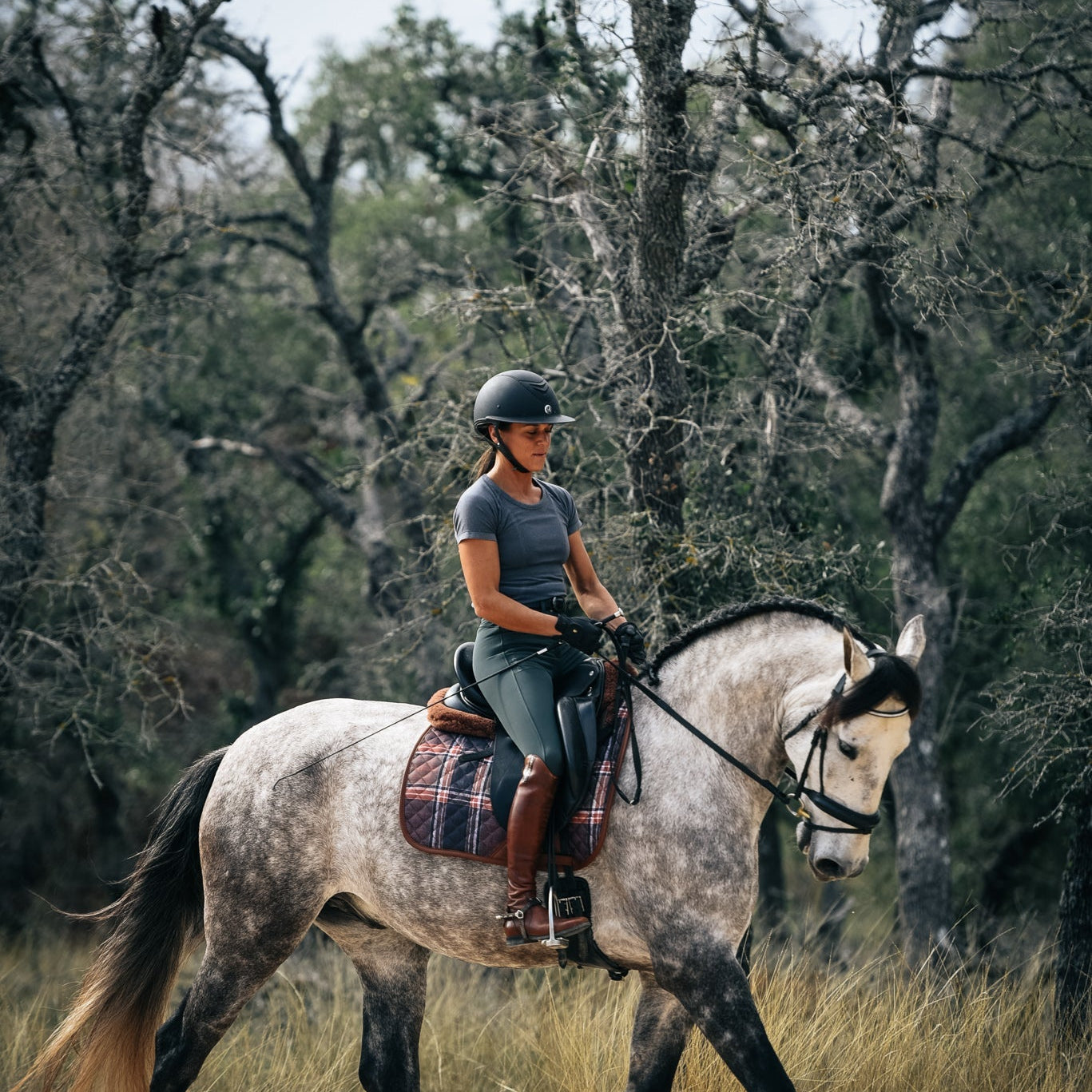 Sixteen Cypress Dressage Pad, Field Plaid & Hickory - Sixteen Cypress - Equiluxe Tack