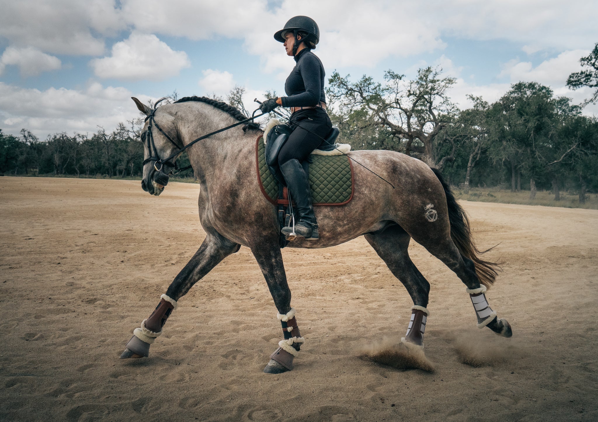 Sixteen Cypress Dressage Pad, Olive & Cognac - PREORDER - Equiluxe Tack