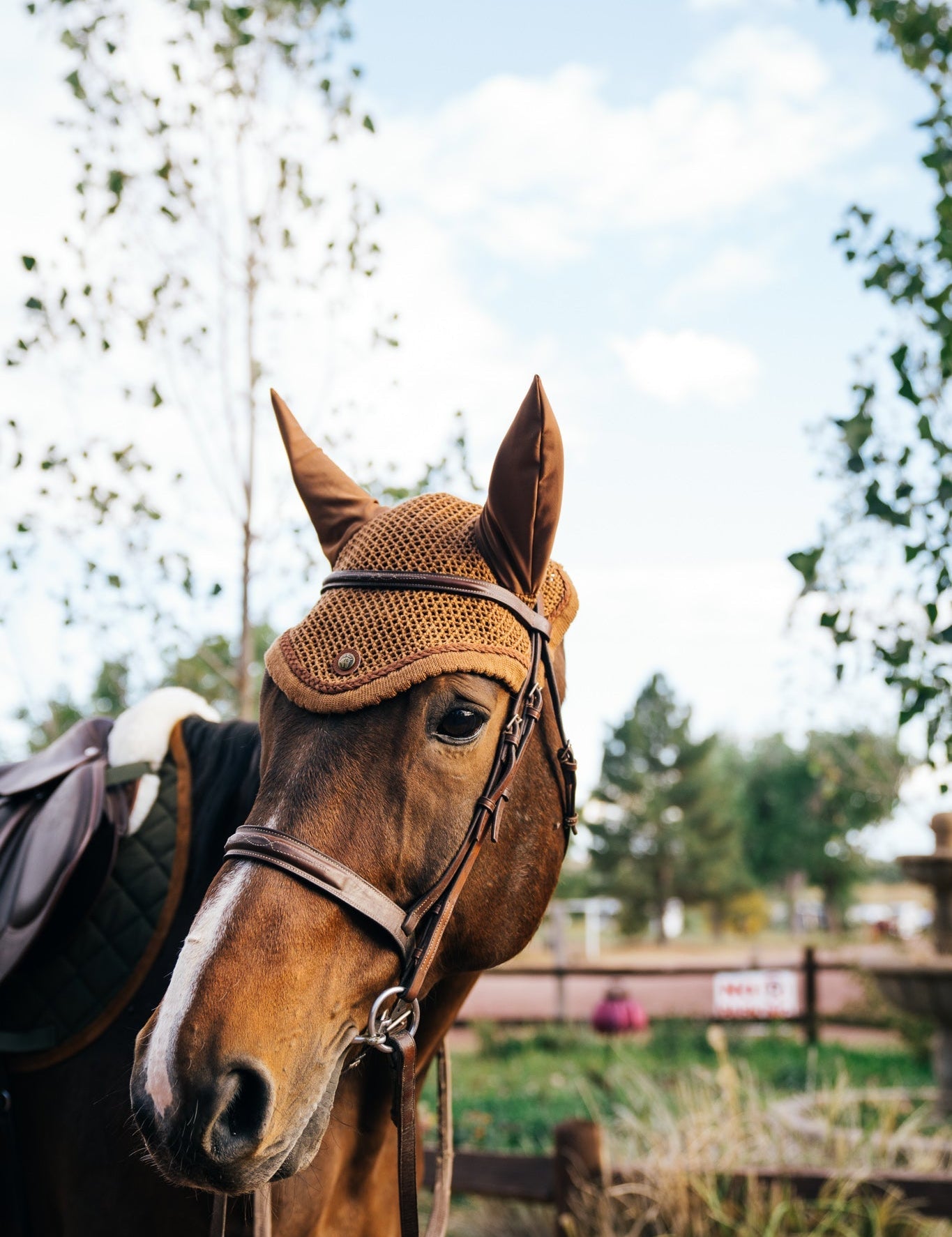 Sixteen Cypress Ear Net, Camel - Sixteen Cypress - Equiluxe Tack
