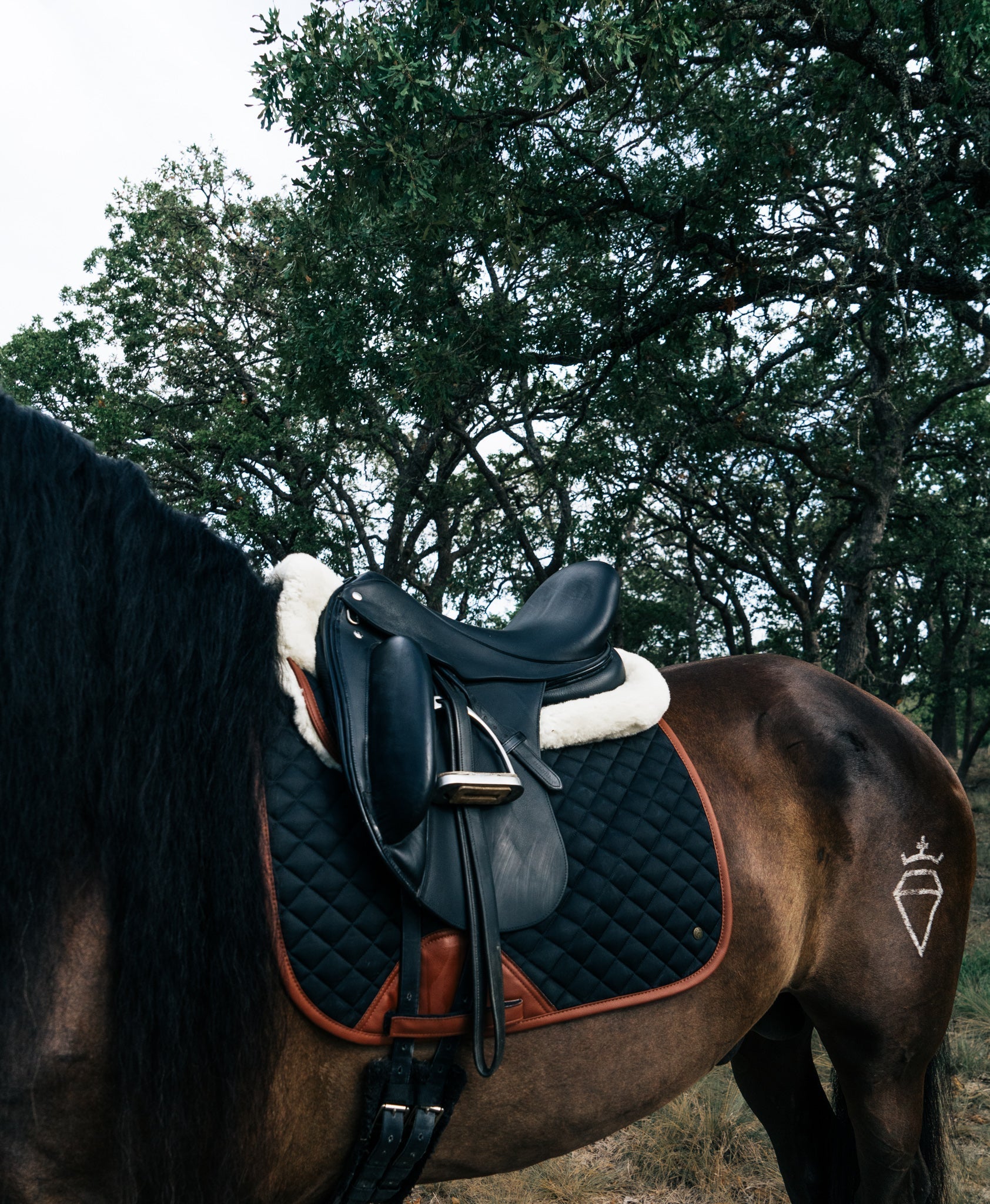 Sixteen Cypress Wool Fleece Half Pad, Black & Cognac - Sixteen Cypress - Equiluxe Tack