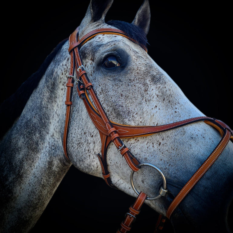 'Something Royal' Fancy Stitch Figure 8 Bridle - Equiluxe Tack