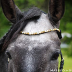 Sparkling Amber Browband - Equiluxe Tack