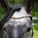 Sparkling Amber Browband - Equiluxe Tack