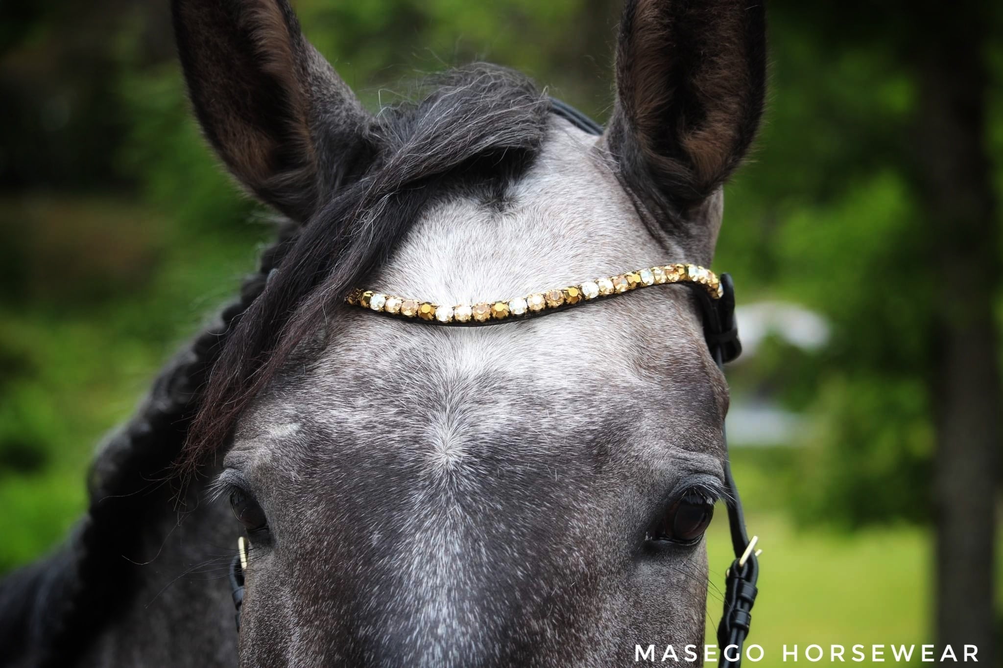 Masego Sparkling Amber Swarovski Browband - MASEGO horsewear - Equiluxe Tack