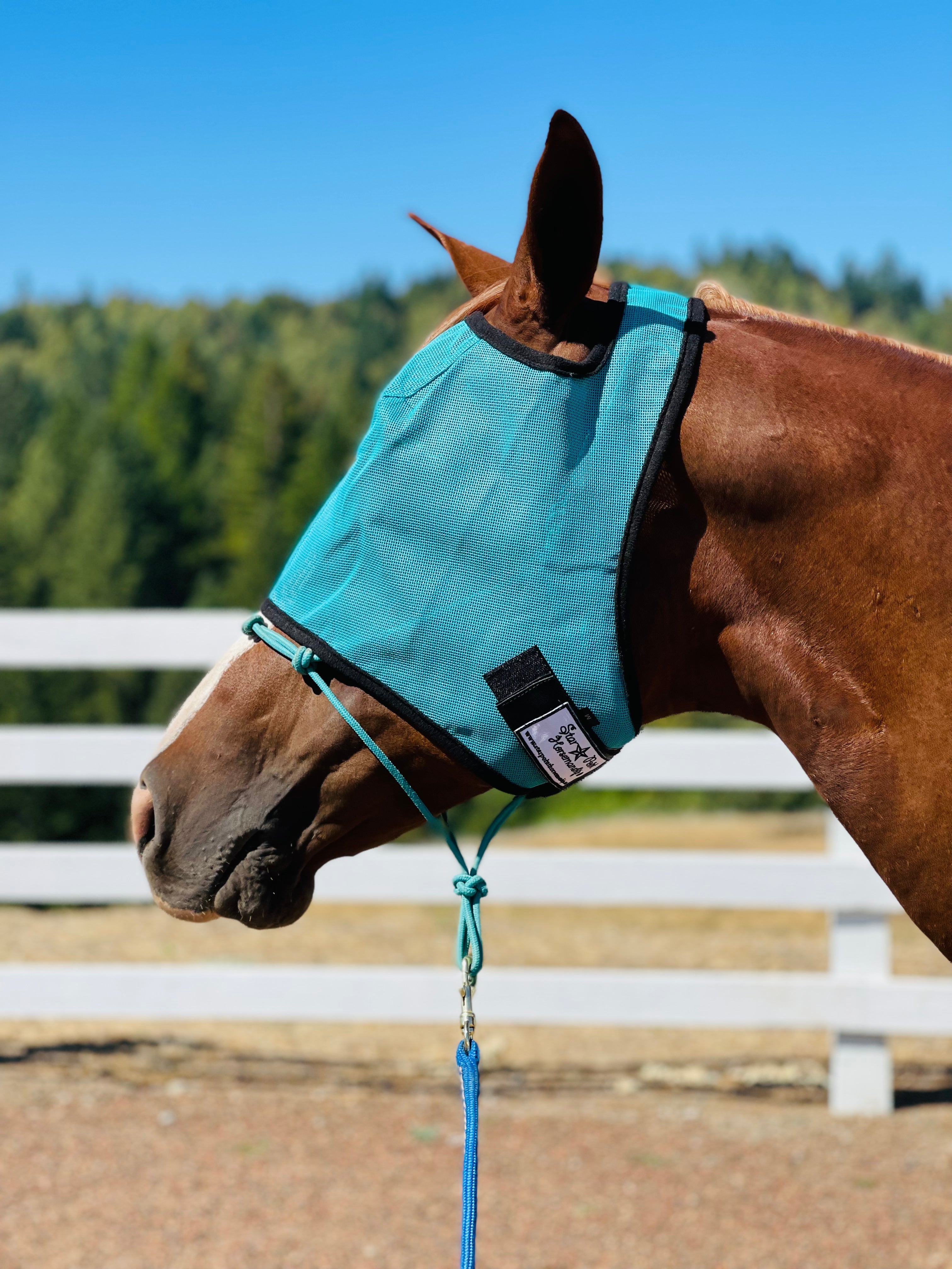 Star Point Fly Mask - Mini to Horse Size - Equiluxe Tack