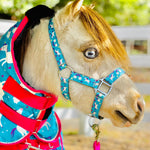 Star Point Printed Halter - Mini, Pony & Horse Size - Equiluxe Tack