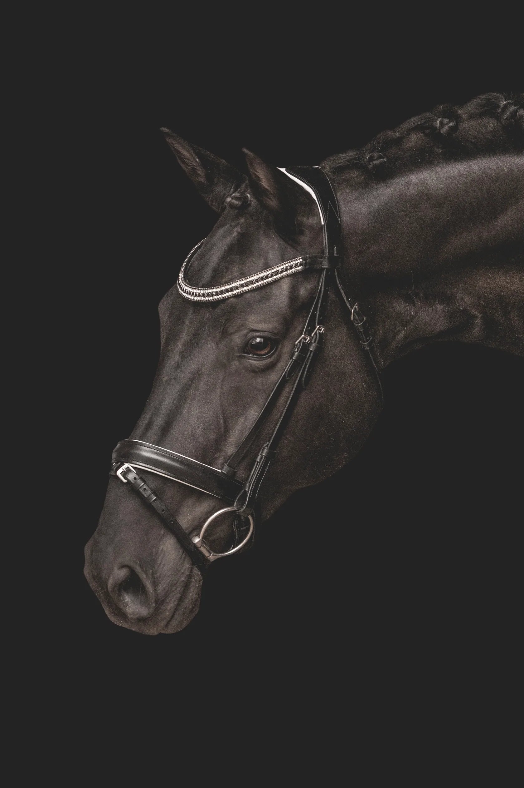 The Abby Dressage Bridle - Equiluxe Tack