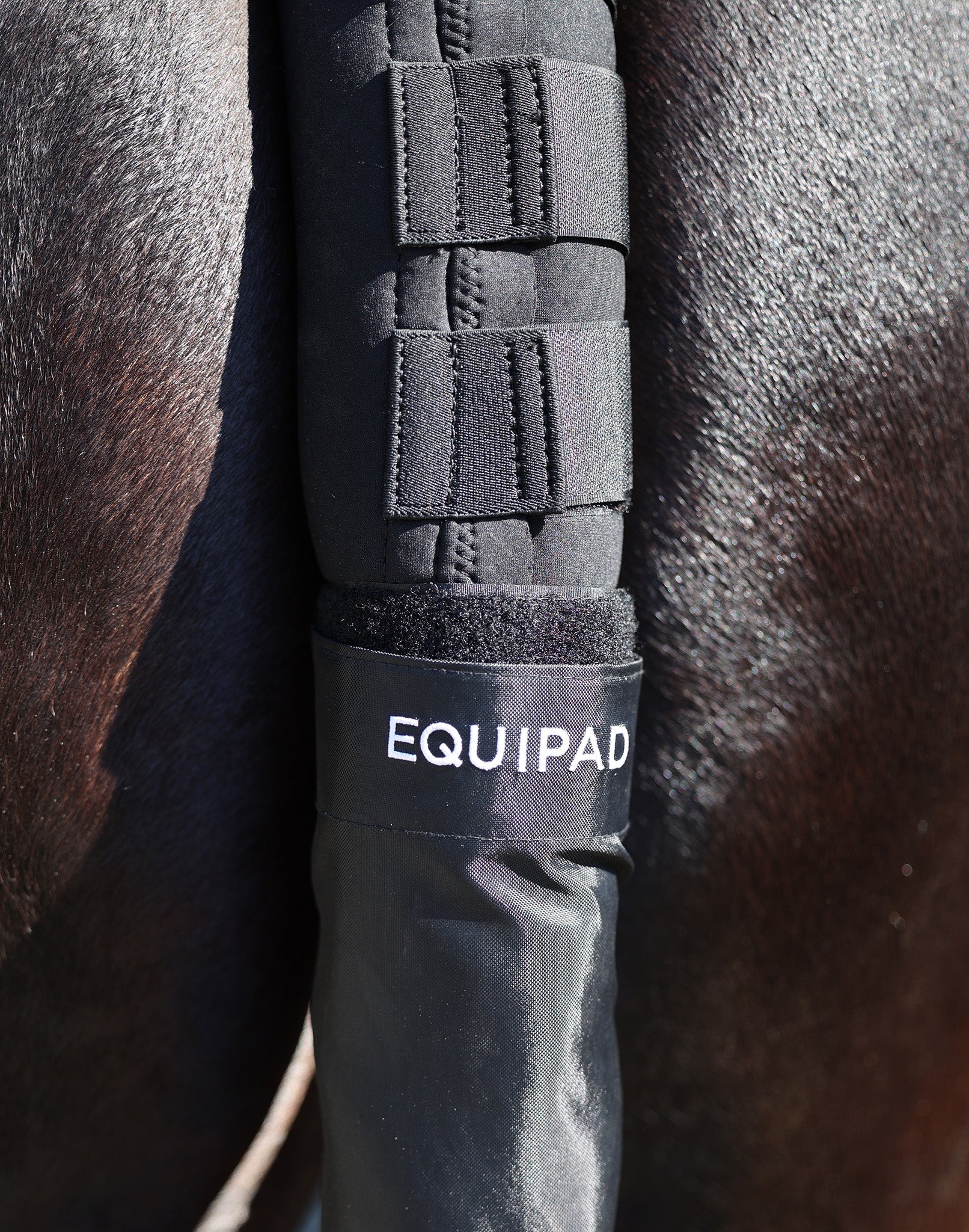 The Equipad Tail Boot - Black - Equiluxe Tack