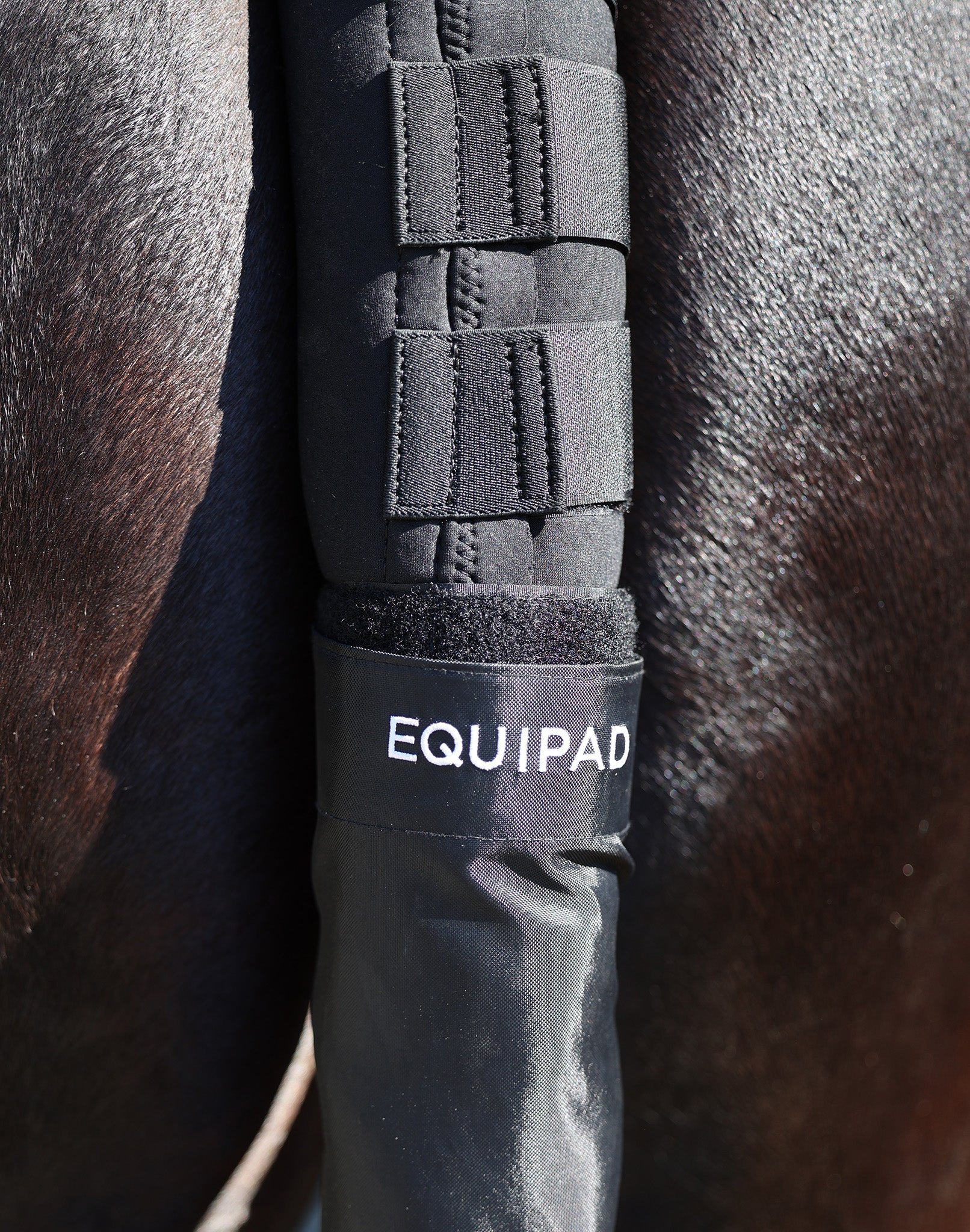 The Equipad Tail Boot - Black - Equipad - Equiluxe Tack