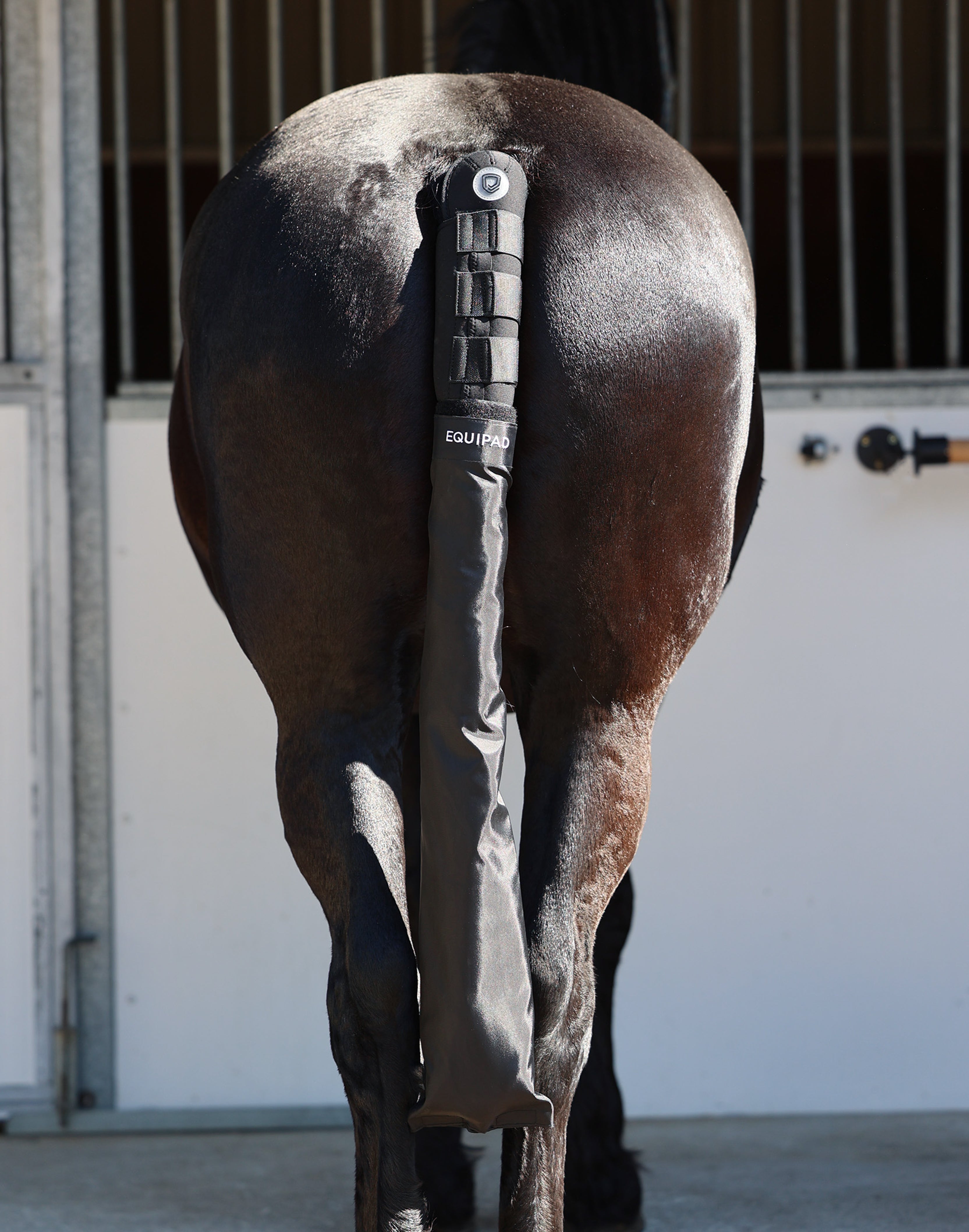 The Equipad Tail Boot - Black - Equipad - Equiluxe Tack