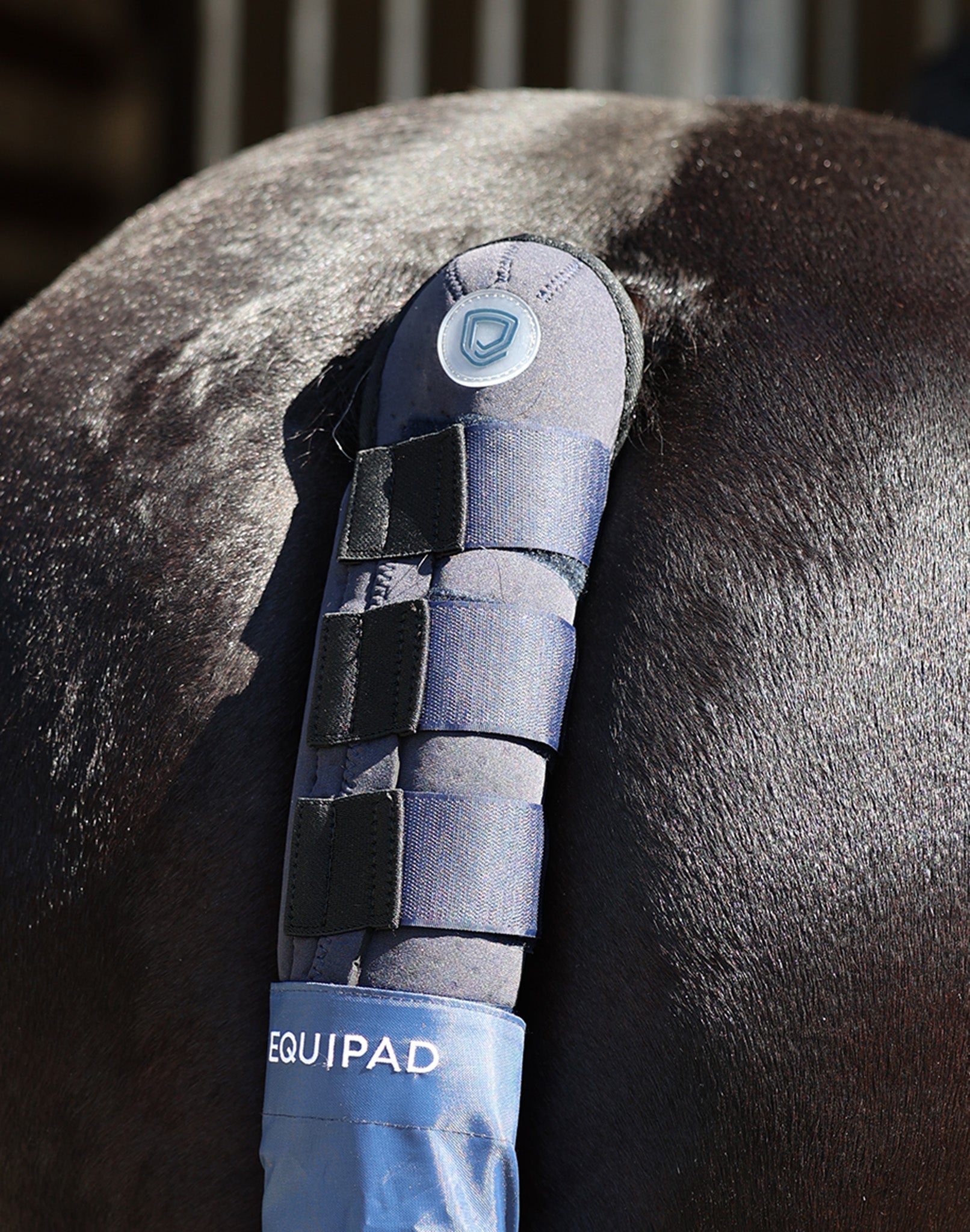 The Equipad Tail Boot - Navy - Equipad - Equiluxe Tack