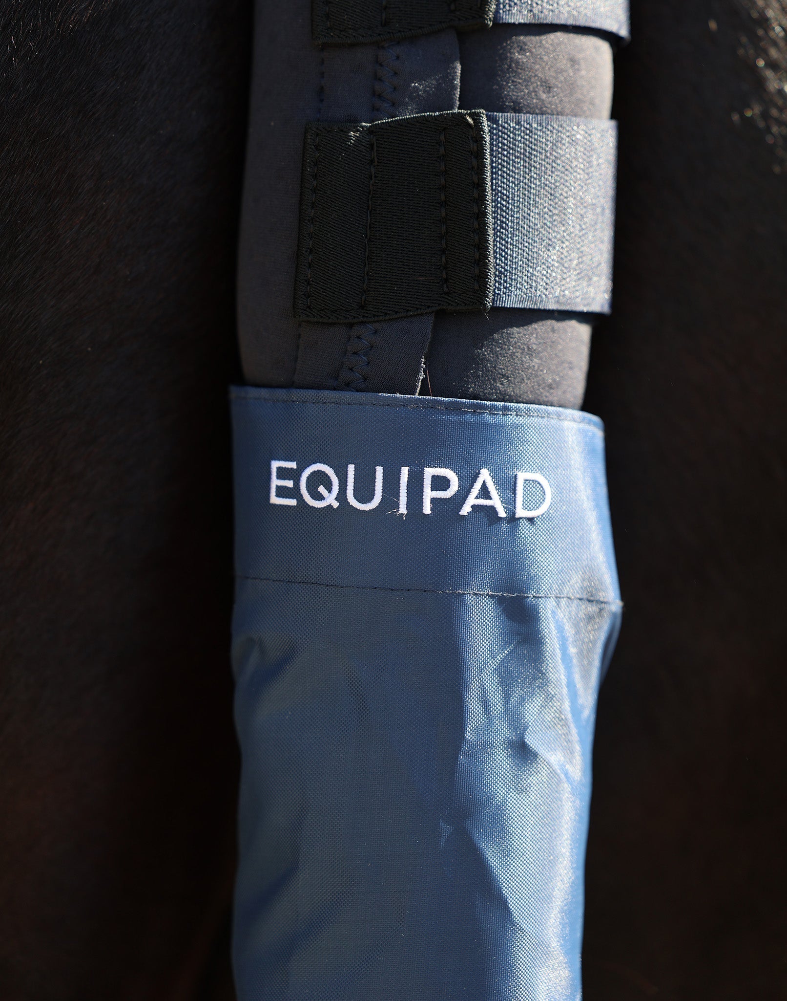 The Equipad Tail Boot - Navy - Equipad - Equiluxe Tack