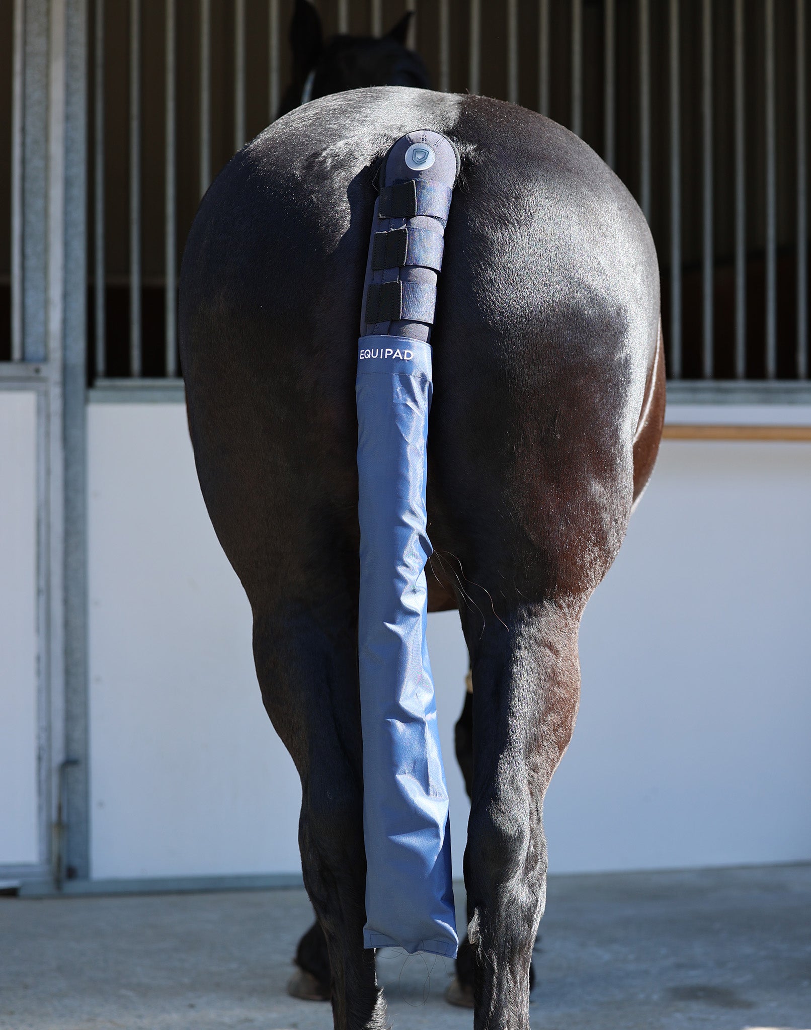 The Equipad Tail Boot - Navy - Equipad - Equiluxe Tack