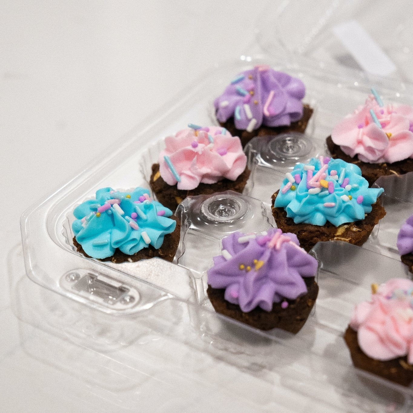 Unicorn Cupcakes Horse & Dog Treats - Equiluxe Tack