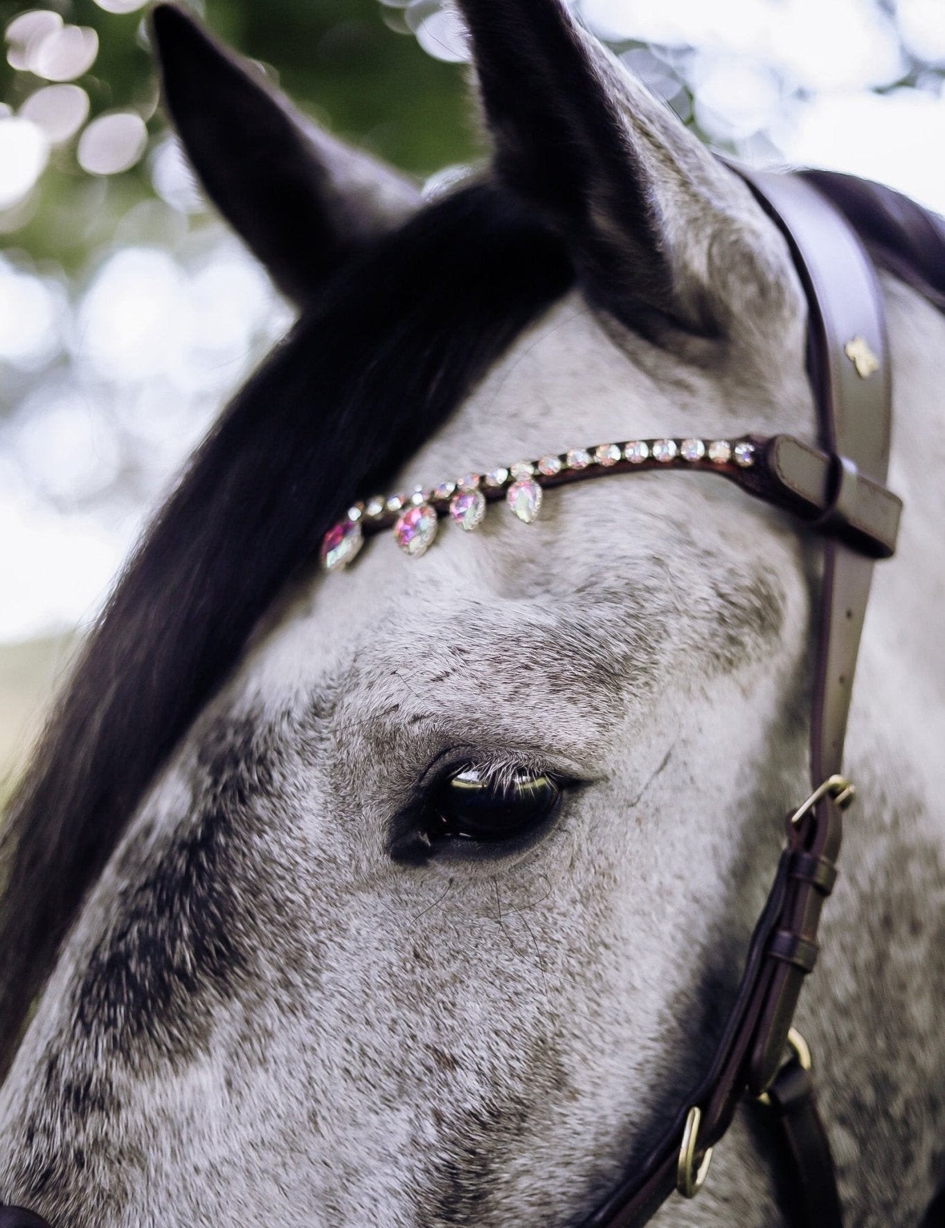 Masego Unicorn Raindrop Swarovski Browband - MASEGO horsewear - Equiluxe Tack
